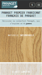 Mobile Screenshot of panaget.com