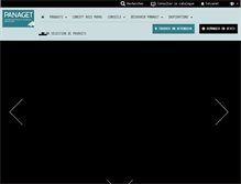 Tablet Screenshot of panaget.com